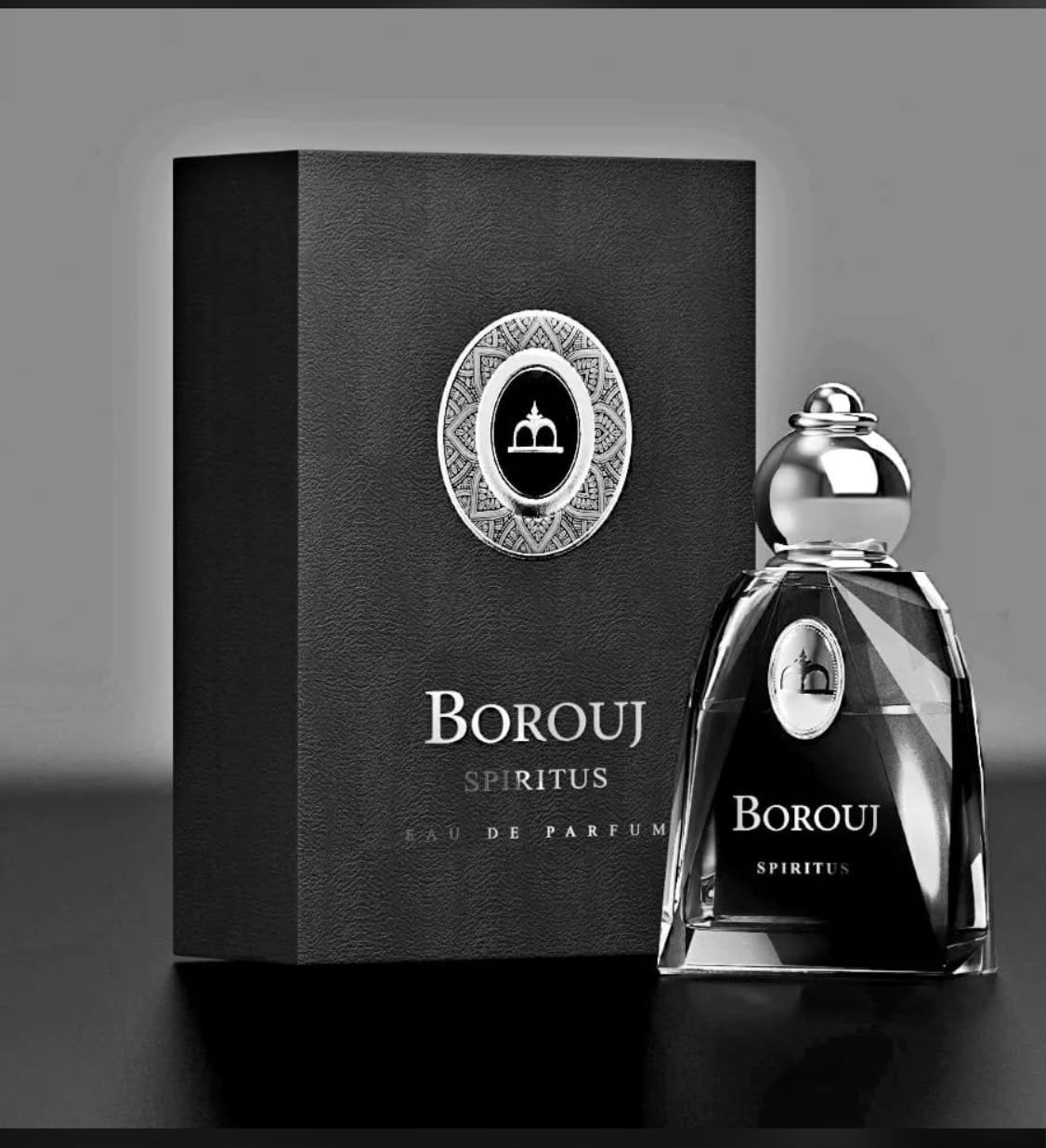 Spiritus 100ml