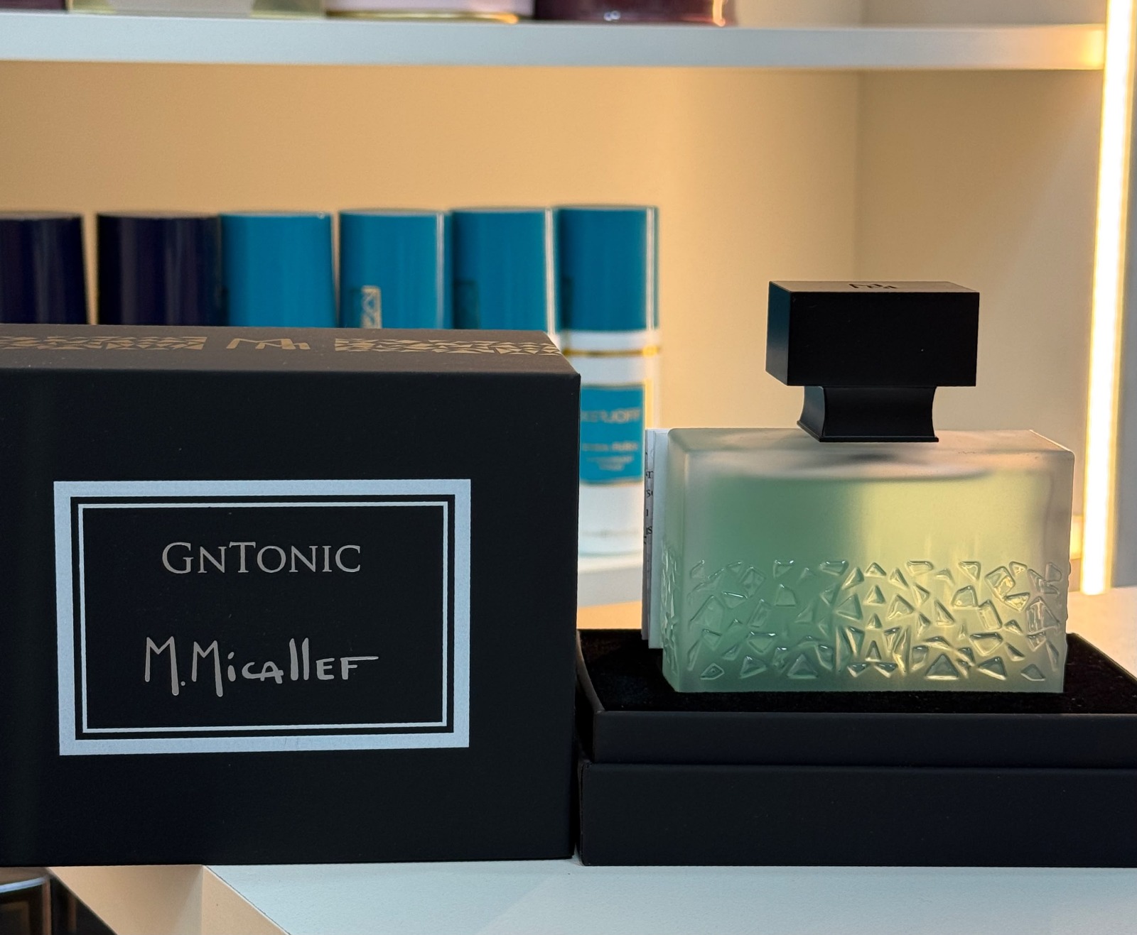 GIN TONIC 100ml