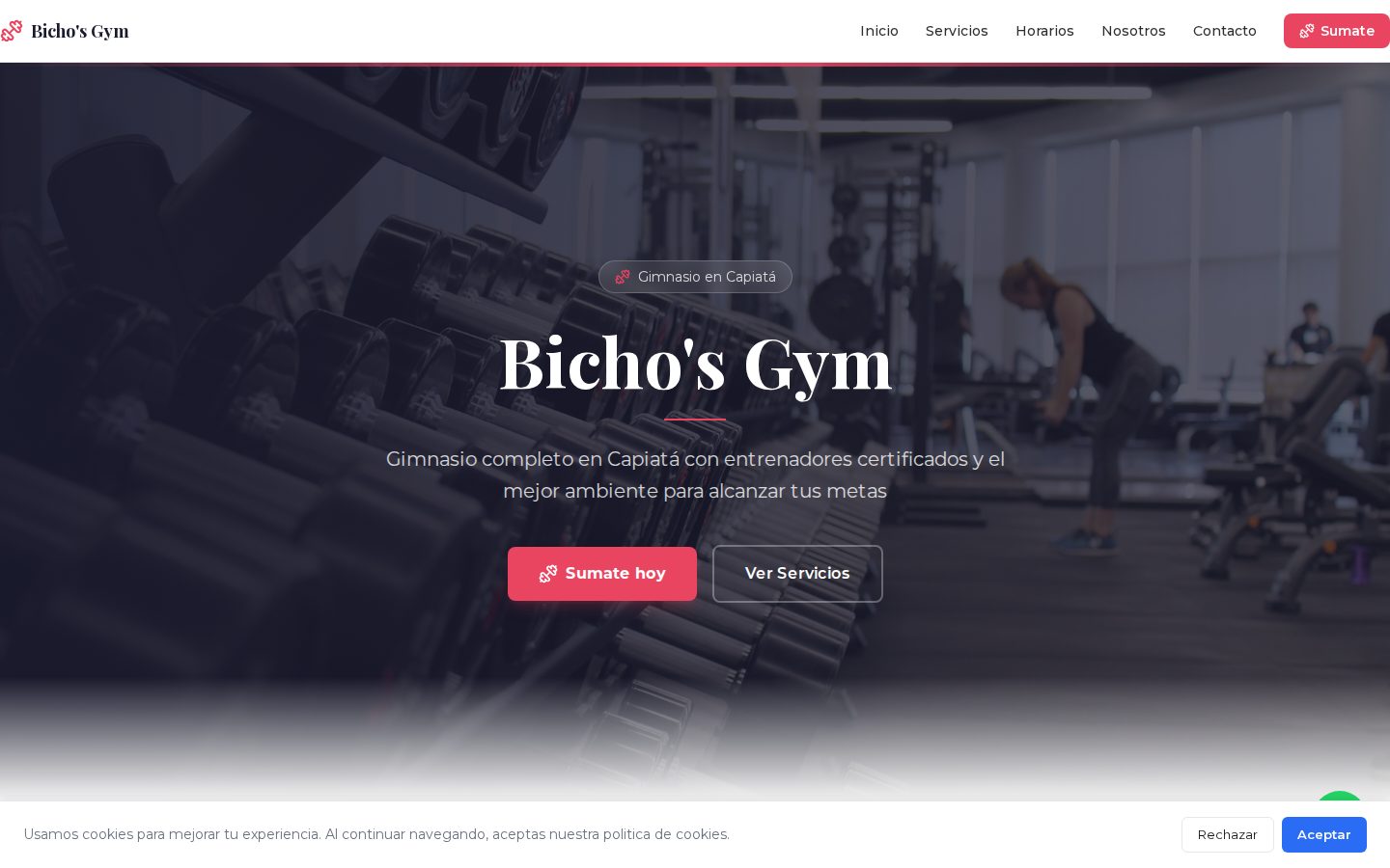 Bichos Gym — Gimnasio / Fitness